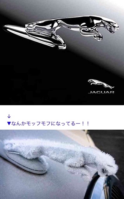 雪豹 ｻﾗﾏﾝﾀﾞｰょり ｽﾞｯ速だょ